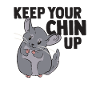 Chinchilla