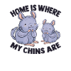Chinchilla Owner