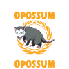 Opossum Geschenk Possum Beutelratte