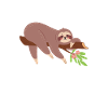 Chemise de couchage de papa