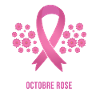 Cancer du Sein octobre rose