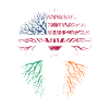 American Irish Roots Skull