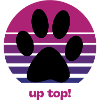 up top