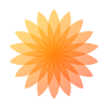 Blumenmuster orange
