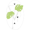 Monstera