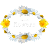 Fleur