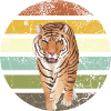 Tiger Retro Design