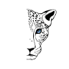 Snow Leopard Cool Big Cat