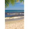 Strand mit Palmen
