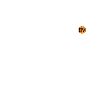 OBV - Boig!