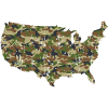 USA Camouflage map
