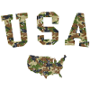 usa camo map