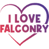 I love falconry