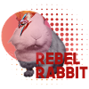 Rebel Rabbit