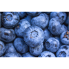schwarze Beeren