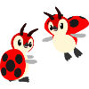 Ladybird penguins