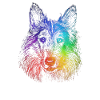 rainbow dog