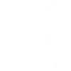 "anartiste" blanc