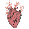 Traditional Tattoo Heart
