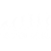 evolution baseball