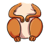 Eichhörnchen Kostüm