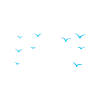Sailing Sailboat Sailor
