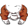 Bulldog Kostüm