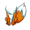 Fuchs Kostüm