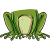 Frosch Kostüm