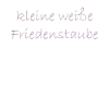 kleine weisse friedenstaube.