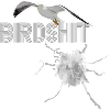 Birdshirt -ROBHILLPRODUCTIONS