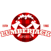 lumberjack check pattern