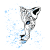 Snow Leopard Blue Eyes Cool