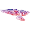Oiseau