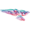 Oiseau