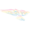 Oiseau