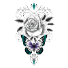 Rosa Zierschmetterling