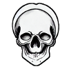 illustrated skull