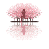 Japanische Kirschblüte HIIT