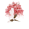 Japanese Cherry Blossom HIIT