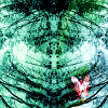 Forest Reflection Teal Butterfly