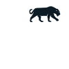 Dear Black Panther