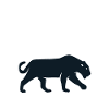 Black Panther Costume