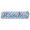 Munich