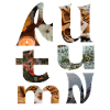 autumn | Herbst | Jahreszeit