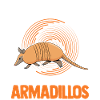Armadillo Gift Armadillo