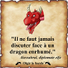 dragon enrhumé