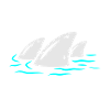 Feel stunning, shark, shark