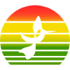 Sonnen Vogel bunt