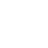 Gecko / Leopard gecko